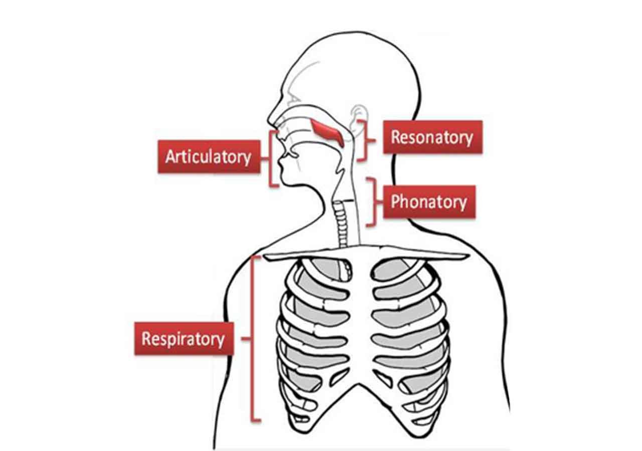 auditory processing disorder asha