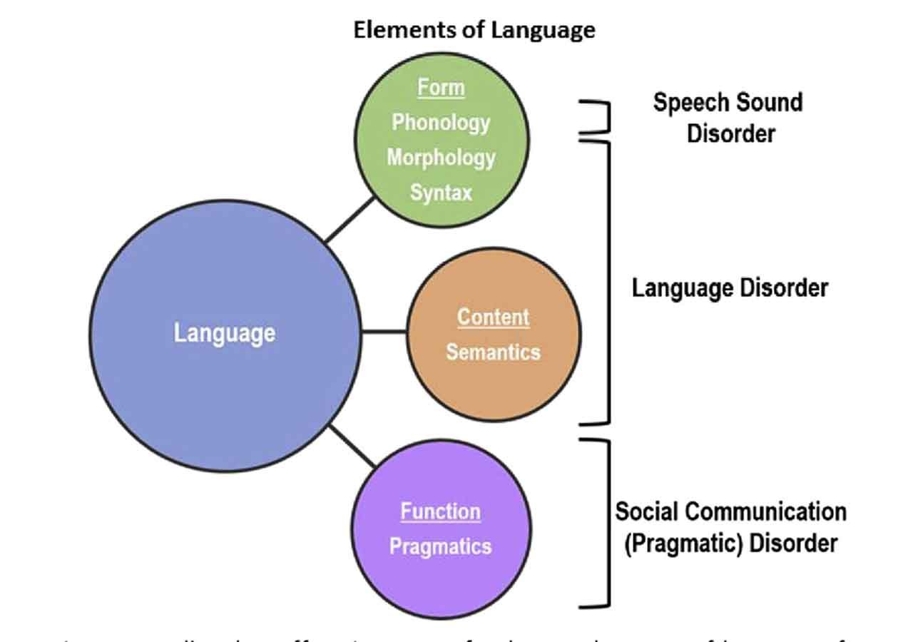 Introduction to Language Disorder