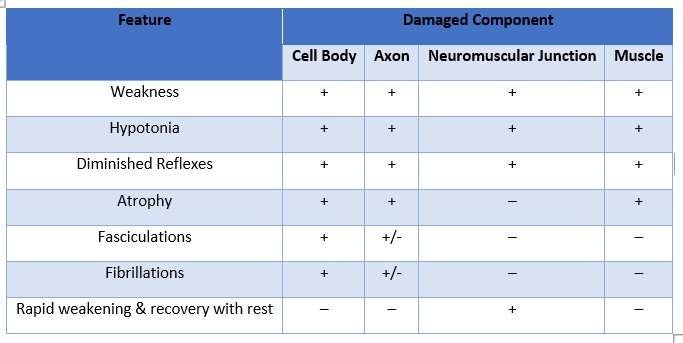Clinical-Characteristics-of-Flaccid-Dysarthrias-Table