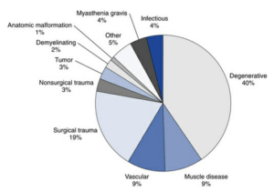 Flaccid Dysarthrias: Causes and Characteristics