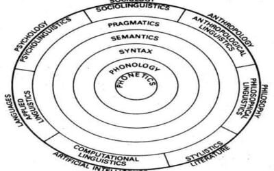 Linguistics and Different Branches of Linguistics