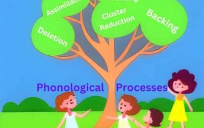 Phonological Disorder and Types of Phonological Processes