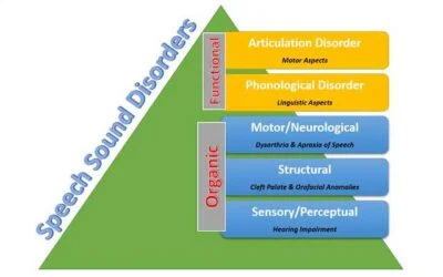 Speech Sound Disorders – Articulation Phonological and Organic