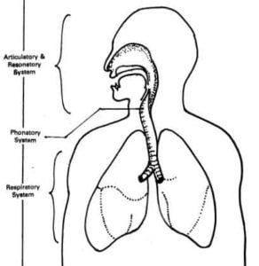 Overview of Speech Production and Speech Mechanism