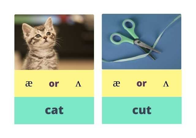 Minimal Pairs Speech Therapy For Articulation Disorder